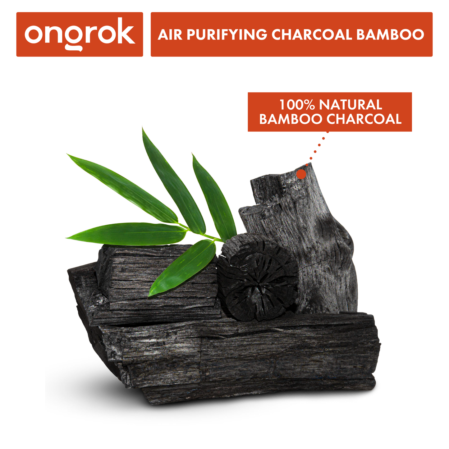 Ongrok Air Purifying Charcoal Bamboo Bags (Multiple Sizes)